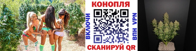 Названия наркотиков Лениногорск Марихуана Cocaine Псилоцибиновые грибы ГАШ Альфа ПВП
