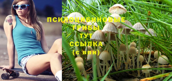 прущие крисы Алексин