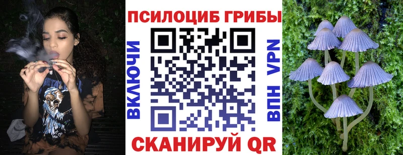 магазин продажи   Лениногорск  Псилоцибиновые грибы MAGIC MUSHROOMS 