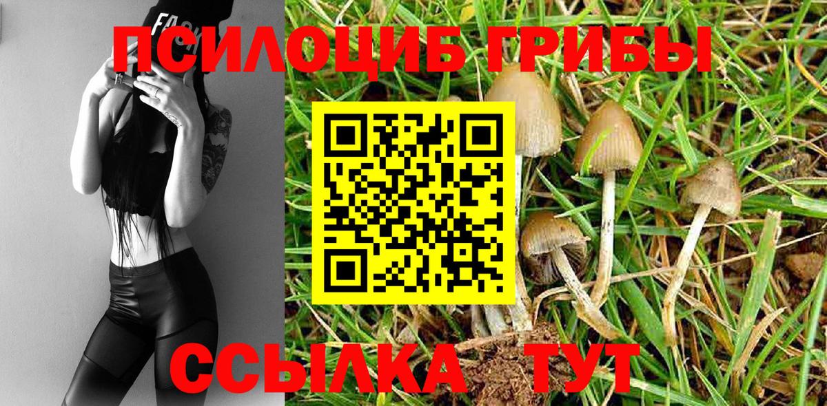 Галлюциногенные грибы Magic Shrooms  наркошоп  Лениногорск  Галлюциногенные грибы GOLDEN TEACHER  Вход с VPN 