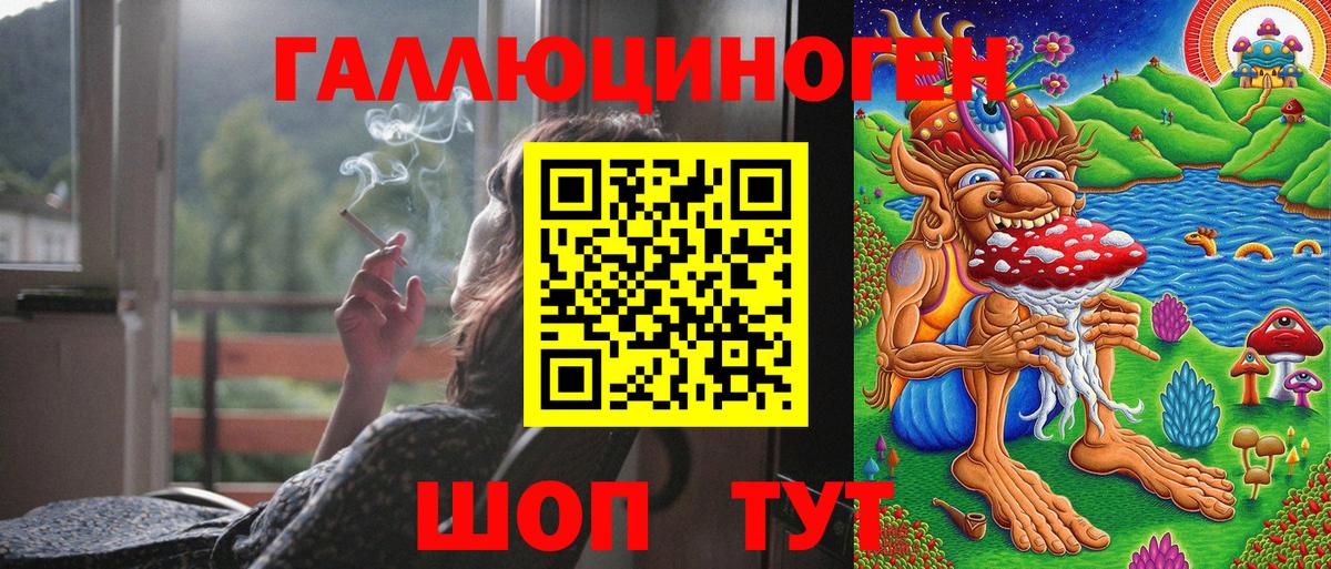 Псилоцибиновые грибы Psilocybine cubensis Лениногорск